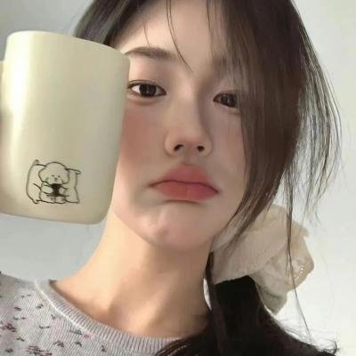 第一夫人的保镖